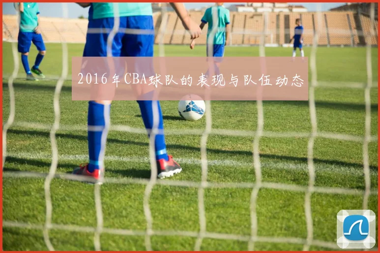 2016年CBA球队的表现与队伍动态