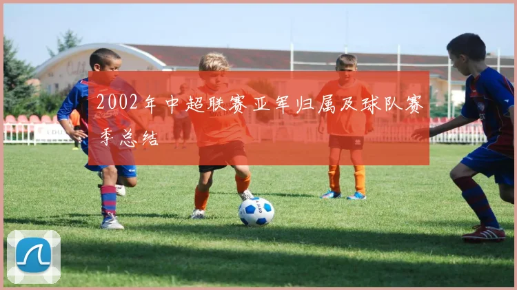 2002年中超联赛亚军归属及球队赛季总结