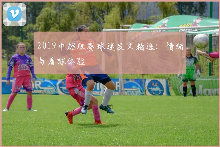 2019中超联赛球迷发文精选：情绪与看球体验