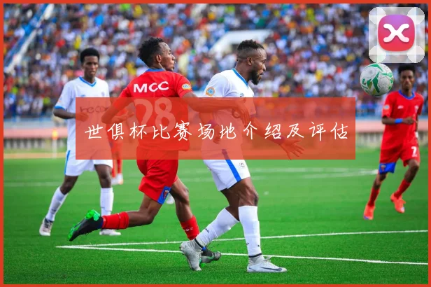 世俱杯比赛场地介绍及评估