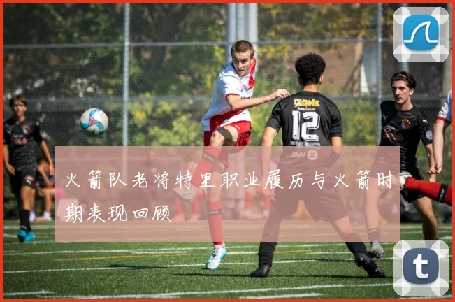 火箭队老将特里职业履历与火箭时期表现回顾